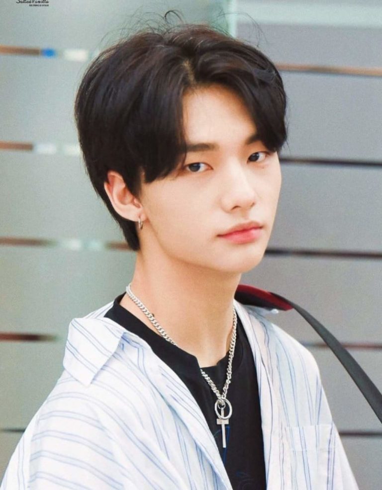 Hwang Hyunjin Wiki 2021: Net Worth, Height, Weight, Relationship & Full ...