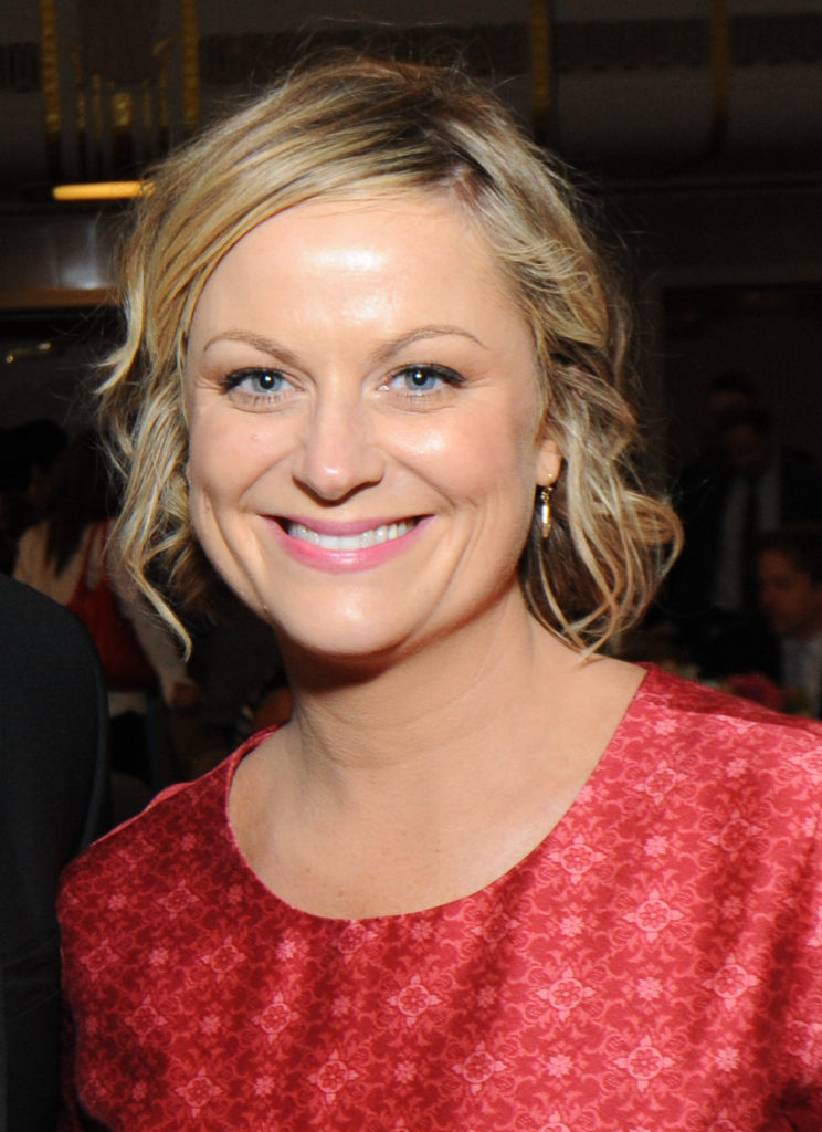 poehler memoir