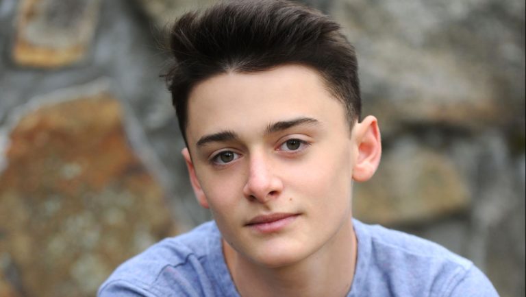 Noah Schnapp Wiki 2021: Net Worth, Height, Weight, Relationship & Full Biography. - Pop Slider