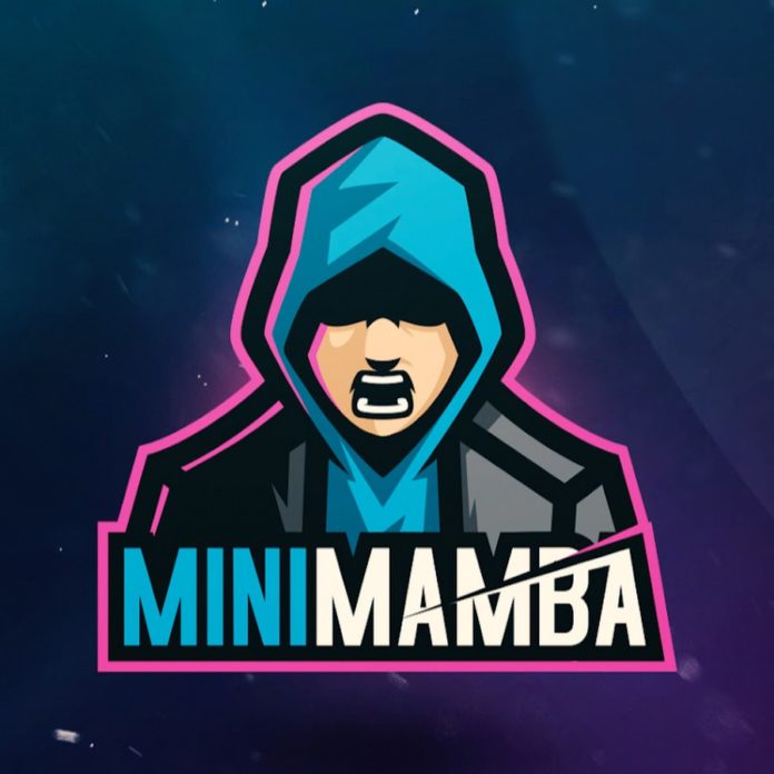 Mini Mamba